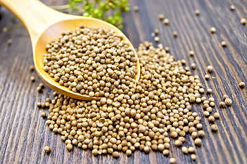 Image showing Coriander seeds in spoon on dark board