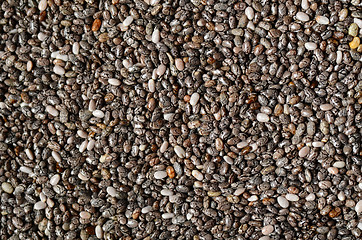 Image showing Black chia seeds