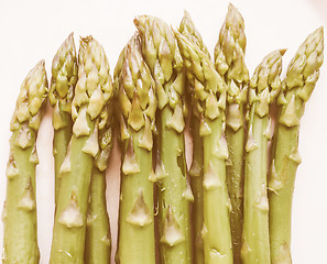 Image showing Retro looking Asparagus vegetable