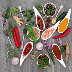 Image showing Spice and Herb Seasoning