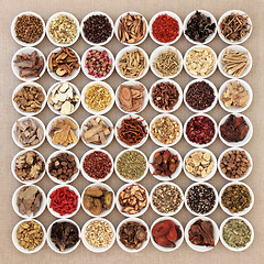 Image showing Traditional Chinese Medicine Selection