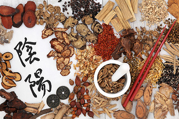 Image showing Traditional Chinese Herbal Medicine