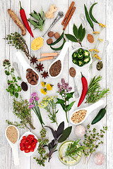 Image showing Healthy Food Seasoning