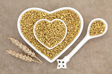 Image showing Khamut Khorasan Wheat