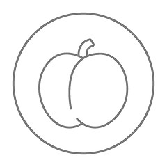 Image showing Plum with leaf line icon.