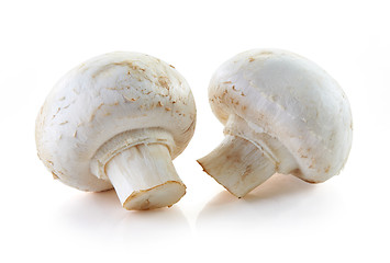 Image showing champignon mushrooms on white background