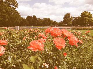 Image showing Gardens in Stuttgart Germany vintage