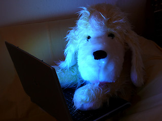 Image showing Cyber Dog