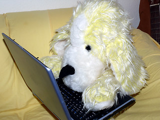 Image showing Cyber Dog