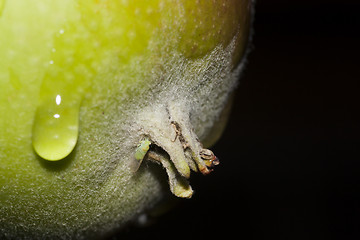 Image showing crying apple