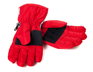 Image showing Pair of winter ski gloves