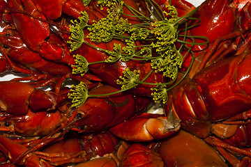 Image showing crayfish