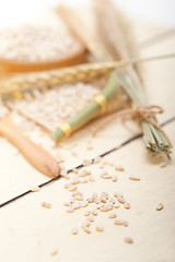 Image showing organic wheat grains 