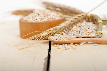 Image showing organic wheat grains 