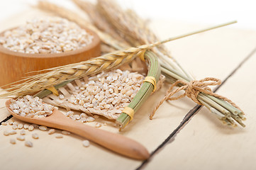 Image showing organic barley grains