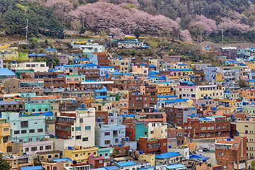 Image showing Gamcheon Culture Village