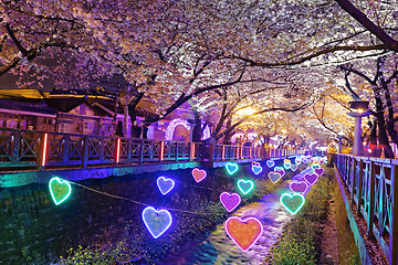 Image showing cherry blossoms at night, busan city in south korea