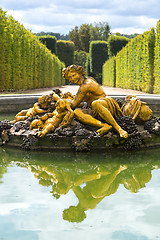 Image showing Fountain in the gardens of the Versailles Palace