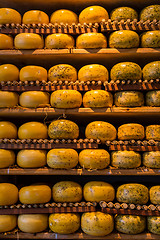 Image showing Cheese wheels  in Amsterdam store