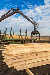 Image showing Edging board in stacks