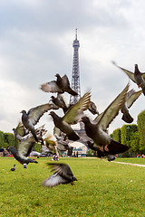 Image showing Eiffel tower in Paris