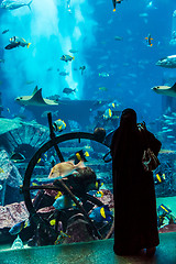 Image showing Huge aquarium in a hotel Atlantis in Dubai on the Palm islands