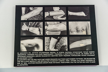 Image showing Exhibition in Concentration camp in Auschwitz.