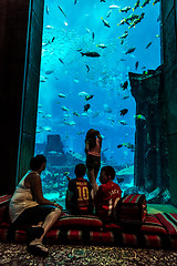 Image showing Huge aquarium in a hotel Atlantis in Dubai on the Palm islands