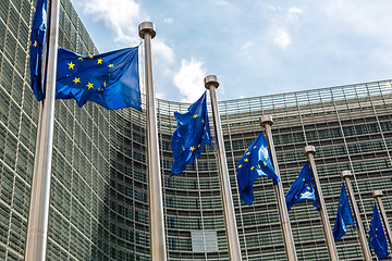 Image showing European flags  in Brussels