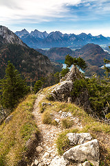 Image showing Alps and forestin a summer day in Germany