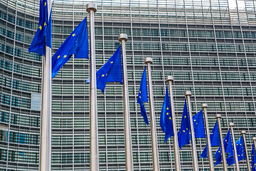 Image showing European flags  in Brussels