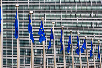 Image showing European flags  in Brussels