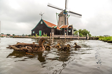 Image showing Wind mills in Holland