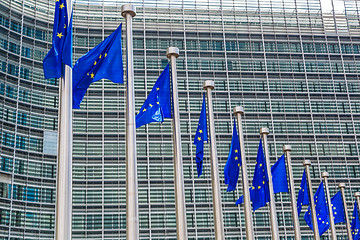 Image showing European flags  in Brussels