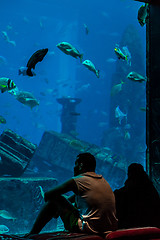 Image showing Huge aquarium in a hotel Atlantis in Dubai on the Palm islands