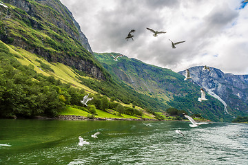 Image showing Sognefjord in Norway