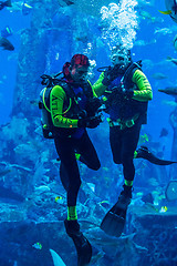 Image showing Huge aquarium in Dubai. Diver feeding fishes.