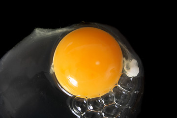 Image showing egg