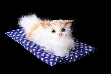 Image showing cat toy