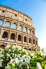 Image showing Colosseum in Rome