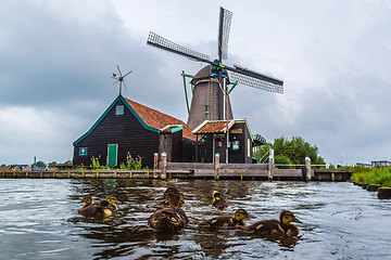 Image showing Wind mills in Holland