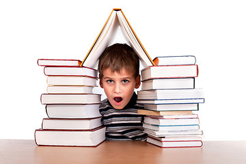Image showing Schoolboy and a heap of books