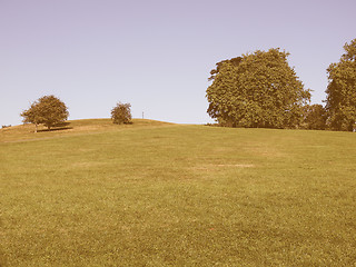 Image showing Primrose Hill London vintage