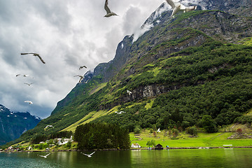 Image showing Sognefjord in Norway