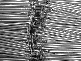 Image showing lots of nails