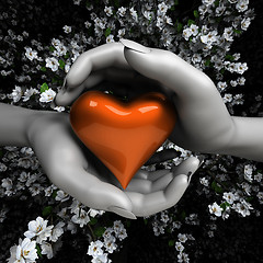 Image showing Close up of woman hands holding heart