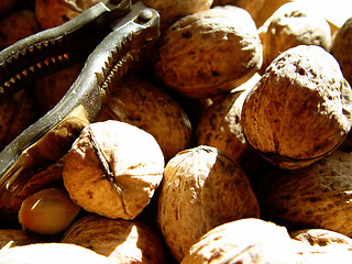 Image showing walnuts