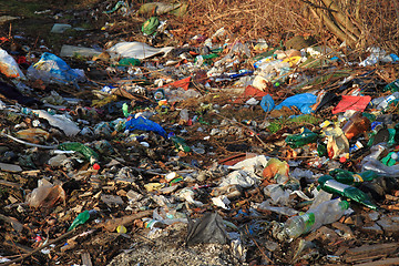 Image showing garbage and nature\r\n