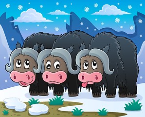 Image showing Three muskoxen theme image 2