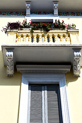 Image showing    lombardy       the milano old   window closed brick   flower